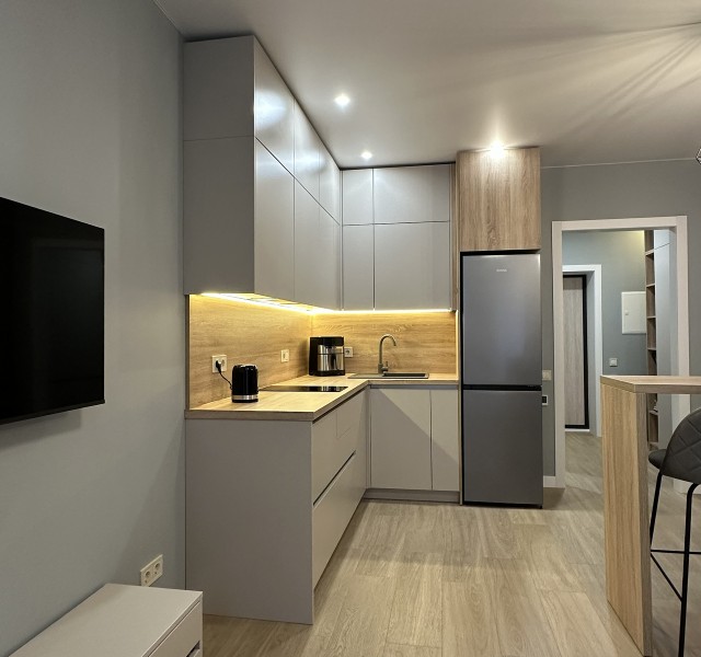 Кухня Брікс 24